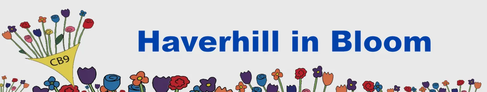 Haverhill in Bloom Banner
